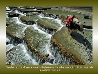 Escolha um trabalho que ama e não terá que trabalhar um único dia em sua vida.
(Confúcio 孔夫子 )
 
