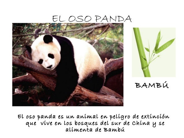 ebook