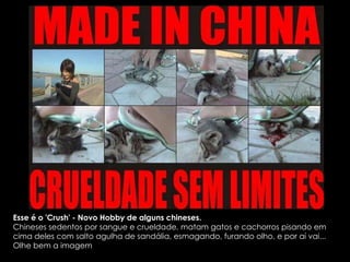 Esse é o 'Crush' - Novo Hobby de alguns chineses.  Chineses sedentos por sangue e crueldade, matam gatos e cachorros pisando em cima deles com salto agulha de sandália, esmagando, furando olho, e por aí vai... Olhe bem a imagem 