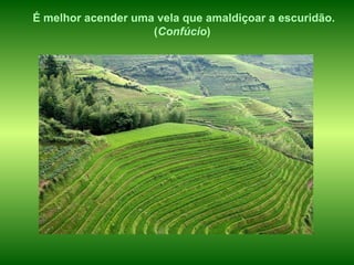 É melhor acender uma vela que amaldiçoar a escuridão. ( Confúcio )  