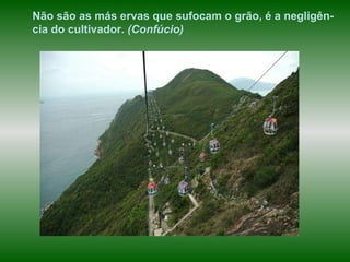 Não são as más ervas que sufocam o grão, é a negligên-cia do cultivador.  (Confúcio) 