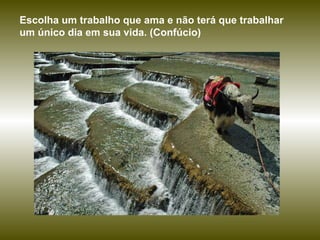 Escolha um trabalho que ama e não terá que trabalhar um único dia em sua vida. (Confúcio)  