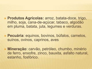    Produtos Agrícolas: arroz, batata-doce, trigo,
    milho, soja, cana-de-açúcar, tabaco, algodão
    em pluma, batata, juta, legumes e verduras.

   Pecuária: equinos, bovinos, búfalos, camelos,
    suínos, ovinos, caprinos, aves

   Mineração: carvão, petróleo, chumbo, minério
    de ferro, enxofre, zinco, bauxita, asfalto natural,
    estanho, fosfórico.
 