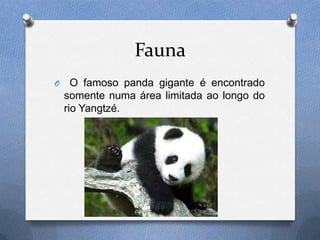 Fauna
O     O famoso panda gigante é encontrado
    somente numa área limitada ao longo do
    rio Yangtzé.
 
