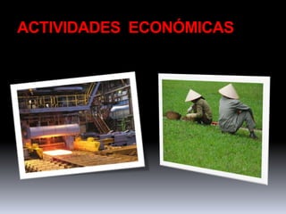 ACTIVIDADES ECONÓMICAS
 