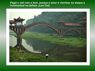 Pagai o mal com o bem, porque o amor é vitorioso no ataque e invulnerável na defesa.  (Lao-Tsé) 