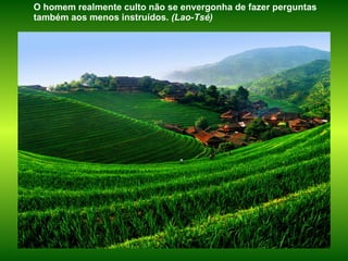 O homem realmente culto não se envergonha de fazer perguntas também aos menos instruídos.  (Lao-Tsé) 