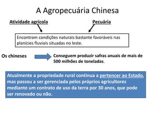 A Agropecuária Chinesa
Atividade agrícola
Atualmente a propriedade rural continua a pertencer ao Estado,
mas passou a ser gerenciada pelos próprios agricultores
mediante um contrato de uso da terra por 30 anos, que pode
ser renovado ou não.
Pecuária
Encontram condições naturais bastante favoráveis nas
planícies fluviais situadas no leste.
Os chineses Conseguem produzir safras anuais de mais de
500 milhões de toneladas.
 