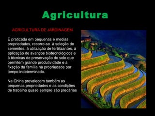 AAggrriiccuullttuurraa 
AGRICULTURA DE JARDINAGEM 
É praticada em pequenas e medias 
propriedades, recorre-se à seleção de 
sementes, à utilização de fertilizantes, à 
aplicação de avanços biotecnológicos e 
à técnicas de preservação do solo que 
permitem grande produtividade e a 
fixação da família na propriedade por 
tempo indeterminado. 
Na China prevalecem também as 
pequenas propriedades e as condições 
de trabalho quase sempre são precárias 
 