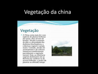 Vegetação da china
 