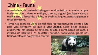 China - Fauna
• A variedade de animais selvagens e domésticos é muito ampla.
Podemos citar o tigre, o antílope, o cervo, o goral (antílope cabra), a
ovelha azul, o leopardo, o lobo, as ovelhas, iaques, pandas-gigantes e
ursos selvagens.
• Talvez não exista na China animal mais representativo da beleza e luta
pela vida selvagem do que o urso panda. Estes belos animais,
atualmente em perigo de extinção devido à combinação da caça, a
invasão do habitat e os desastres naturais, sobrevivem graças aos
tímidos esforços do governo central.
 