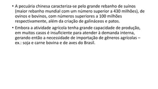 • A pecuária chinesa caracteriza-se pelo grande rebanho de suínos
(maior rebanho mundial com um número superior a 430 milhões), de
ovinos e bovinos, com números superiores a 100 milhões
respectivamente, além da criação de galináceos e patos.
• Embora a atividade agrícola tenha grande capacidade de produção,
em muitos casos é insuficiente para atender à demanda interna,
gerando então a necessidade de importação de gêneros agrícolas –
ex.: soja e carne bovina e de aves do Brasil.
 