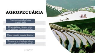 AGROPECUÁRIA
Pouco mecanizada e baixa
produtividade
Diversidade de climas e solos:
variedade de culturas agrícolas
Maior produtor mundial de arroz
Destaca-se na criação de suínos,
com o maior rebanho do mundo
www.jografia.com
 