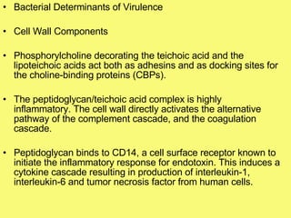 Bacterial Determinants of Virulence Cell Wall Components Phosphorylcholine decorating the teichoic acid and the lipoteichoic acids act both as adhesins and as docking sites for the choline-binding proteins (CBPs).  The peptidoglycan/teichoic acid complex is highly inflammatory. The cell wall directly activates the alternative pathway of the complement cascade, and the coagulation cascade. Peptidoglycan binds to CD14, a cell surface receptor known to initiate the inflammatory response for endotoxin. This induces a cytokine cascade resulting in production of interleukin-1, interleukin-6 and tumor necrosis factor from human cells. 