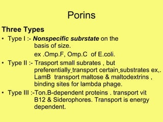 Porins Three Types  Type I :-  Nonspecific subrstate  on the  basis of size.   ex .Omp.F, Omp.C  of E.coli. Type II :- Trasport small subrates , but  preferentially   transport certain   substrates ex,.  LamB  transport maltose & maltodextrins ,  binding sites for lambda phage. Type III :-Ton.B-dependent proteins . transport vit  B12 & Siderophores. Transport is energy  dependent. 