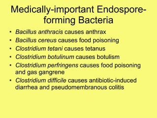 Medically-important Endospore-forming Bacteria Bacillus anthracis  causes anthrax Bacillus cereus  causes food poisoning Clostridium tetani  causes tetanus Clostridium botulinum  causes botulism Clostridium perfringens  causes food poisoning and gas gangrene Clostridium difficile  causes antibiotic-induced diarrhea and pseudomembranous colitis 