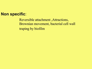 Non specific : Reversible attachment ,Attractions,  Brownian movement, bacterial cell wall  traping by biofilm 