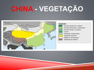 CHINA - VEGETAÇÃO 
 