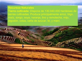 Recursos Naturales Tierra cultivada:  Dispone de 130.040.000 hectáreas de tierras cultivadas. Produce principalmente arroz, trigo, maíz, sorgo, soya, naranja, lino y remolacha, mijo, algodón, colza, caña de azúcar, té, y maní.  