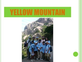 YELLOW MOUNTAIN 