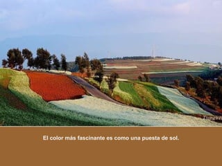 El color más fascinante es como una puesta de sol. 