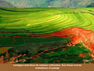 Lexiaguo esta llena de campos cultivados. Sus lineas curvas embellecen el paisaje 