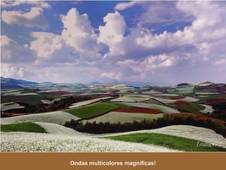 Ondas multicolores magníficas! 