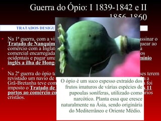 Guerra do Ópio: I 1839-1842 e II 1856-1860 Na 1ª guerra, com a vitória da Inglaterra a China foi forçada a assinar o  Tratado de Nanquim  em 1842 pelo qual foi submetida a franquear ao comércio com a Inglaterra cinco portos e a extinguir a sua firma comercial encarregada de efetuar o comércio com os empresários ocidentais e pagar uma indenização de guerra:  entregar ao domínio inglês a ilha de Hong-Kong. Na 2ª guerra do ópio teve como motivo o fato de oficiais chineses terem revistado um navio de bandeira inglesa. Nesta segunda campanha a Grã-Bretanha teve como aliada a França. Com a derrota da China foi imposto o  Tratado de Tianjin  que obrigou a China a  abrir mais 11 portos ao comércio com as potências ocidentais  e aos missionários cristãos. TRATADOS DESIGUAIS O ópio é um suco espesso extraído dos frutos imaturos de várias espécies de papoulas soníferas, utilizado como narcótico. Planta essa que cresce naturalmente na Ásia, sendo originária do Mediterrâneo e Oriente Médio.  