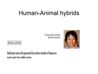 Human-Animal hybrids 