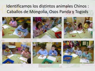 Identificamos los distintos animales Chinos : Caballos de Mongolia, Osos Panda y Togods