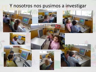 Y nosotros nos pusimos a investigar