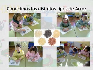 Conocimos los distintos tipos de Arroz