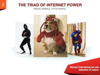 THE TRIAD OF INTERNET POWER!
          NINJAS, ANIMALS, LITTLE PEOPLE!




                                               ...