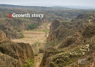 Grace Vineyard’s 200
hectares of vines in
Shanxi – the locals call it
the Yellow Valley
3 Growth story
PhotoSource:JanisMiglavs
 