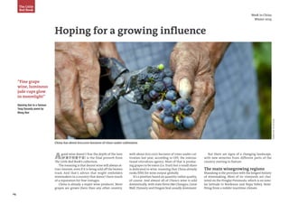 24
PhotoSource:JanisMiglavs
Week in China
Winter 2014
Hoping for a growing influence
Agood wine doesn’t fear the depth of the lane
(好酒不怕巷子深) is the final proverb from
The Little Red Book’s collection.
The meaning is that decent wine will always at-
tract interest, even if it is being sold off the beaten
track. And that’s advice that might embolden
winemakers in a country that doesn’t have much
of a reputation for fine vintages.
China is already a major wine producer. More
grapes are grown there than any other country,
China has about 600,000 hectares of vines under cultivation
with about 600,000 hectares of vines under cul-
tivation last year, according to OIV, the interna-
tional viticulture agency. Most of that is produc-
ing grapes to be eaten (i.e. fruit) but a small share
is dedicated to wine, meaning that China already
ranks fifth for wine output globally.
It’s a position based on quantity rather quality,
of course. And almost all of China’s wine is sold
domestically, with state firms like Changyu, Great
Wall, Dynasty and Dragon Seal usually dominant.
The Little
Red Book
But there are signs of a changing landscape,
with new wineries from different parts of the
country starting to feature.
The main winegrowing regions
Shandong is the province with the longest history
of winemaking. Most of its vineyards are clus-
tered on the Penglai Peninsula, which is on simi-
lar latitude to Bordeaux and Napa Valley, bene-
fiting from a milder maritime climate.
“Fine grape
wine, luminous
jade cups glow
in moonlight”
Opening line to a famous
Tang Dynasty poem by
Wang Han
 