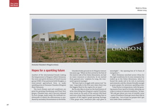 30
Week in China
Winter 2014
The Little
Red Book
Hopes for a sparkling future
Another of the international brands making
the long journey to Ningxia is Moet Hennessy,
the wine and spirits division of French luxury
group LVMH. It has partnered with Nongken, a
state-owned agricultural firm, to make
sparkling wine at Domaine Chandon (Ningxia)
Moet Hennessy.
The local climate and soil conditions are
great for growing Chardonnay and Pinot Noir
grapes, Chandon says, and it has just released
its first vintage, made under the méthode tra-
ditionnelle in which the effervescence is pro-
duced by secondary fermentation in the bottle.
moonlight” – the opening line of “A Poem of
Liangzhou”).
Moet Hennessy searched across China for
the right conditions for its new enterprise but
ended up in the Helan Mountains, where it
found the sandy soil to be rich in nutrients
and minerals, and the climate friendly enough
to grow grapes for premium sparkling wine.
“A key factor is temperature, with the grow-
ing season from April to October allowing our
crops to mature in natural conditions,”Su says.
“We only get about 200 mm of rainfall a year
– parts of southern China get more than that in
a single day – but at least our grapes don’t get
sick under these conditions.”
Chandon broke ground on its Ningxia venture
two years ago.“When we first arrived at the foot of
the eastern side of the Helan Mountains, we had
no water resources or electricity. So we started
from ground zero,” explains Su Long, the vine-
yard’s general manager.
“We have had to struggle with nature too!” he
says, “especially in the first year when there was
the biggest flood in the region for 30 years”
But Su also likes to draw on the local history of
wine, describing how Ningxia’s capital Yinchuan
once stood on the path of the ancient Silk Road
and even citing Tang Dynasty poet Wang Han in
support of the region’s grape growing heritage
(“Fine grape wine, luminous jade cups glow in
Domaine Chandon’s Ningxia winery
PhotoSource:JanisMiglavs&DomaineChandonNingxiaWinery
 