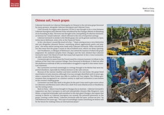 33
Week in China
Winter 2014
The Little
Red Book
Chinese soil, French grapes
Cabernet Gernischt (or Cabernet Shelongzhu in Chinese) is the red wine grape favoured
by many growers, alongside Cabernet Sauvignon and Cabernet Franc.
Until recently its origins were disputed. At first it was thought to be a cross between
Cabernet Sauvignon and Cabernet Franc introduced by the Changyu Winery in Shandong
on its founding in 1892. The term was thought to be a misspelling of Cabernet Gemischt,
or German for ‘mixed Cabernet‘, which referred to the mix of imported cuttings.
Cabernet Gernischt is similar to the Merlot grape, but can be greener and later to ripen,
writes Jancis Robinson, wine critic at the Financial Times.
In fact, she doesn’t sound like much of a fan –“I kept coming across a very distinctive
and not altogether pleasant flavour, something almost aggressively green and pep-
pery,” she writes about tasting wine made with Cabernet Gernischt. Other viticultural-
ists also warn that the grape is more at risk of leafroll virus, which can delay ripening.
José Vouillamoz, a colleague of Robinson’s, has solved the mystery of where the grape
originated. He analysed samples from Changyu and the tests showed that Cabernet
Gernischt wasn’t the blend of stock that many had expected. In fact, it was Carmenère,
an older variety from Bordeaux.
Carmenère gets its name from the French word for crimson (carmin), in tribute to the
redness of the vine’s late summer foliage. Once favoured in Bordeaux, it died out after
the phylloxera outbreak of 1867 as winemakers struggled to regraft it onto newer Amer-
ican rootstock.
But Carmenère survived unwittingly in cuttings thought to be Merlot that were im-
ported elsewhere, especially by Chilean farmers in the 19th century.
Because of the warmer weather and lower rainfall in its new home, the grape fared
much better in Latin America, although it too was wrongly identified until 20 years ago,
when a researcher from France was able to confirm its true origins. The Chilean gov-
ernment then recognised it as a distinct variety in 1998 and Carmenère is now known
as the country’s leading grape.
Carmenère can look inky-dark in the glass (in the past it was used to give more colour
to Cabernets and Merlots) and it often has a dark-fruit taste (blackcurrant or blackberry,
say the tasting notes).
Back in China – where it was brought to Changyu by an Austrian – Cabernet Gernischt’s
supporters say that it prospers in arid and inhospitable climates (like Ningxia’s). Lenz
Moser, a respected winemaker and consultant to the state giant Changyu, also argues that
mixing in Merlot or Cabernet Sauvignon can remedy the potential greenness in the
grape, creating a softer blend. “Cabernet Gernischt adds the spice, aromas we love,” he
told Robinson two years ago.“This type of assemblage creates something we believe will
be the future for making China an international player.”
PhotoSource:JanisMiglavs
 