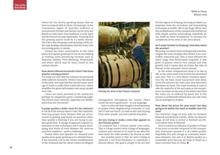 36
PhotoSource:JanisMiglavs
Week in China
Winter 2014
choice for the shorter growing season that we
have to contend with in China. For example, in the
Coonawarra region of Australia budburst is
around early October and harvest can be very late
March or early April. Here budburst is early April
and we harvest in early September, meaning that
the growing season could be 3-5 weeks shorter.
The risk is that the grapes end up being a little un-
der-ripe, lacking concentration and the wines turn
out tasting green or weedy.
Tiansai has been conservative in the early
phase of its grape-growing too but we are looking
at trialling some interesting varieties such as
Marselan, Malbec, Petit Manseng, Tempranillo
and others which may be more suited to this
unique climate.
How about Cabernet Gernischt? Hasn’t that been
popular among growers?
I’m really not sure why the industry has persisted
with Cabernet Gernischt. I think it was introduced
in the early vine material that arrived many years
ago. It tends to suffer from a leaf roll virus, which
amplifies the green bell pepper taste many people
don’t like.
I don’t see much potential in the variety but
perhaps its uniqueness gives a marketing angle.
The French have Cabernet, Argentina has Malbec
and China has Gernischt?
Is grape quality a wider issue for the industry?
It can be if the winery doesn’t own the vineyards.
Sourcing grapes from farmers who are accus-
tomed to getting paid based on quantity rather
than quality is limiting if you are trying to pro-
duce good wine. A change of approach requires in-
vestment in new techniques and it means devel-
oping new levels of trust between the wineries
and their suppliers – quite a challenge!
Tiansai owns and operates its vineyard with
quality wine-grape growing as it’s ultimate focus.
It has invested a lot in the correct establishment
of the vineyard and the owner insists on diligent
Testing the wine at the Tiansai vineyard
management throughout the season. That’s
surely the key to good wine – in any language.
Once or twice we have bought a small quantity
of grapes from neighbouring vineyards to trial
but it’s not our future. As soon as you start buying
from other people, you lose control of quality.
Are you trying to make a wine that appeals to
the Chinese palate?
I’m sceptical that a ‘Chinese palate’ even exists.
This is a huge country with a range of languages,
cultures and cuisines so it’s hard to see why Chi-
nese tastes for wine wouldn’t be diverse as well.
But another point is that we aren’t trying to
replicate a red from Bordeaux or reproduce a
Barossa Shiraz. Our goal is simply to do our best
The Little
Red Book
for this region in Xinjiang, focusing on what’s ap-
propriate from the viticulture and winemaking
techniques available. We’ve put huge efforts into
the establishment of the vineyard and started out
with simple, precise winemaking. Hopefully we
can build on these foundations to increase the
complexity of our wine in the years ahead.
Isn’t water limited in Xinjiang? And what about
the weather?
We pump our water from underground and drip-
irrigate the vines via pipes that deliver it in a con-
trolled, measured way. This is more efficient for
water usage than flood-based irrigation. It also
gives us greater control over canopy and vine
growth, and it means that we lessen the risks of
disease in the vineyard’s micro-climate.
In the winter temperatures drop to as low as
28C so the vines need to be buried and unearthed
each year. This is a very labour intensive opera-
tion but we have some equipment that helps
move the soil over the vines once they have been
laid down by hand. The same machine is used to
take the majority of the soil away as the temper-
ature increases at the end of the winter and then
the vines are re-trellised by hand. But if this
process is performed without due care, the vines
can be damaged or broken.
How about the prices for your wine? Are they
going to be within the reach of middle-class Chi-
nese?
Our Selection range of wine sells for between
Rmb208 and Rmb328 a bottle, while our Reserve
range of red wine is priced at Rmb528 and Re-
serve white wine at Rmb268.
Price is used as an indicator of quality in China.
If our price is too low compared to the competi-
tion, consumers assume it is of a lower quality.
Hopefully this will change as consumer aware-
ness improves. Our aim is to deliver quality at a
reasonable price because we hope to build up a
loyal customer base in China. n
 