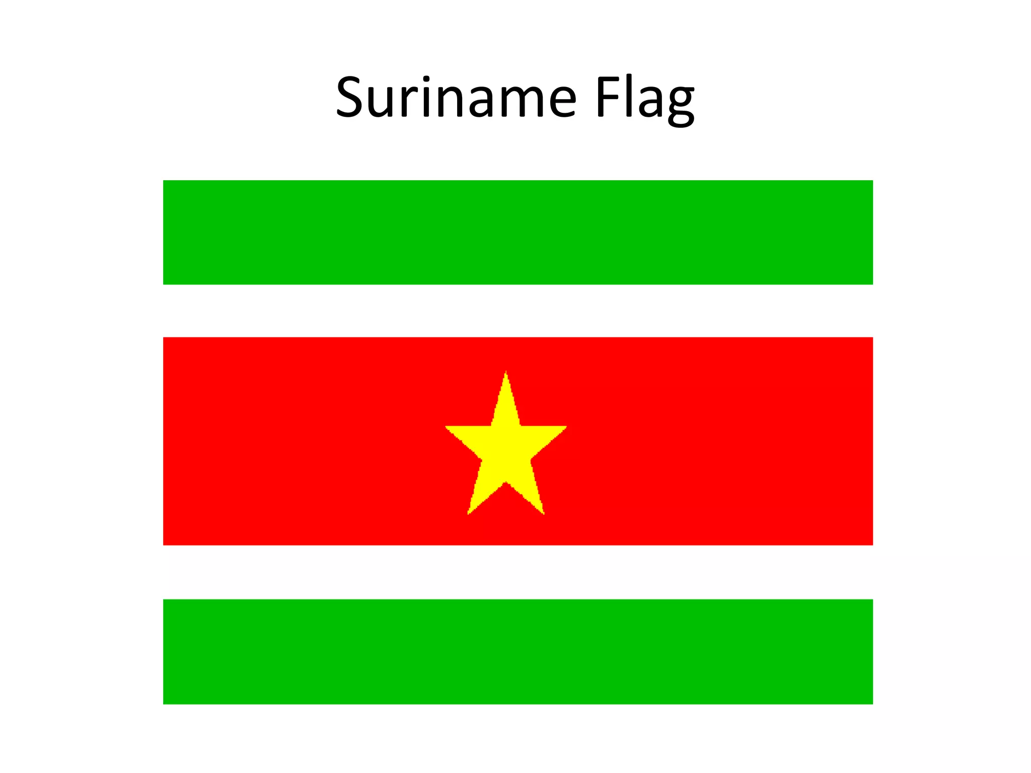 Suriname Flag
