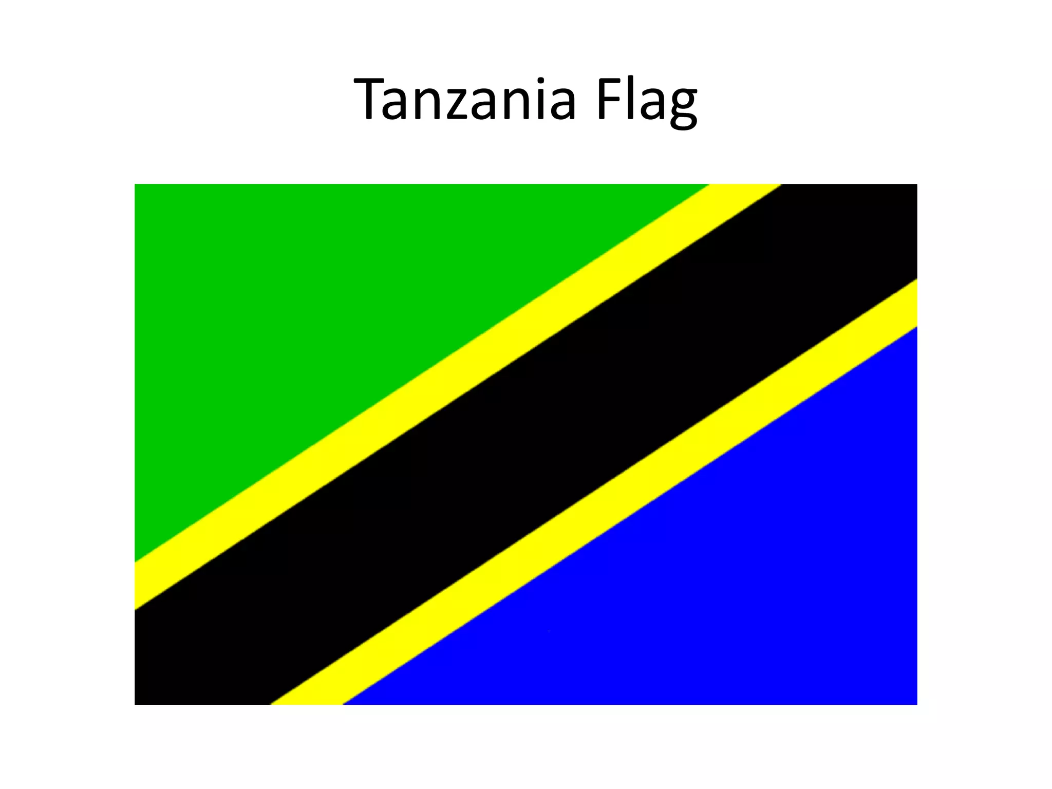 Tanzania Flag
