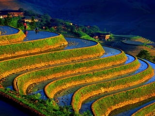 Imagens da China