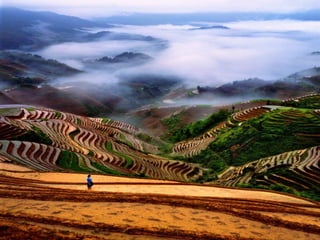 Imagens da China
