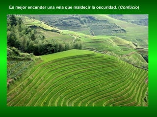 Es mejor encender una vela que maldecir la oscuridad. (Confúcio)
 
