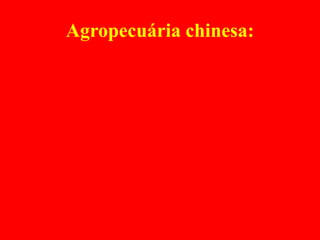 Agropecuária chinesa:
 