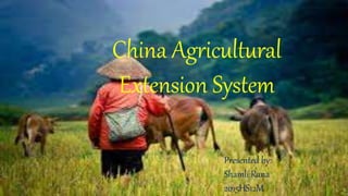 China Agricultural
Extension System
Presented by:
Shamli Rana
2015HS12M
 