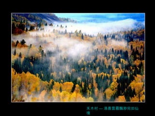 禾 木村 --- 清晨雲霧飄渺宛如仙境 