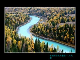 喀納斯自然保護區 --- 月亮灣 