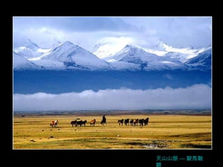 天山山脈 --- 駿馬馳騁 