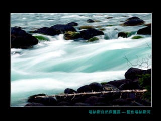 喀納斯自然保護區 --- 藍色 喀納斯河 