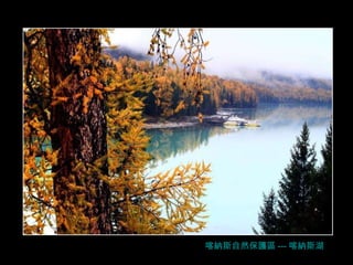 喀納斯自然保護區 --- 喀納斯湖 